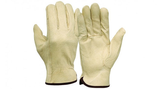 GL4001K - Select Pigskin Driver Gloves